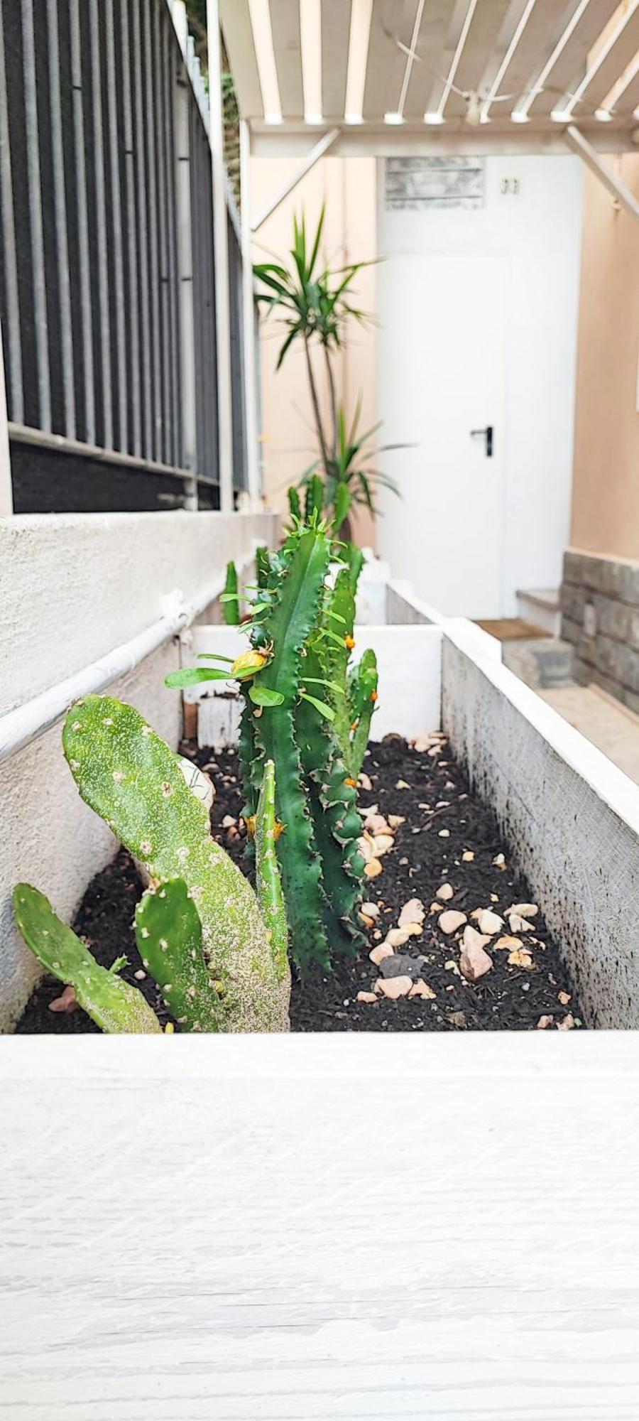 Ferienwohnung Residenza Bibliososta Ventimiglia Exterior foto