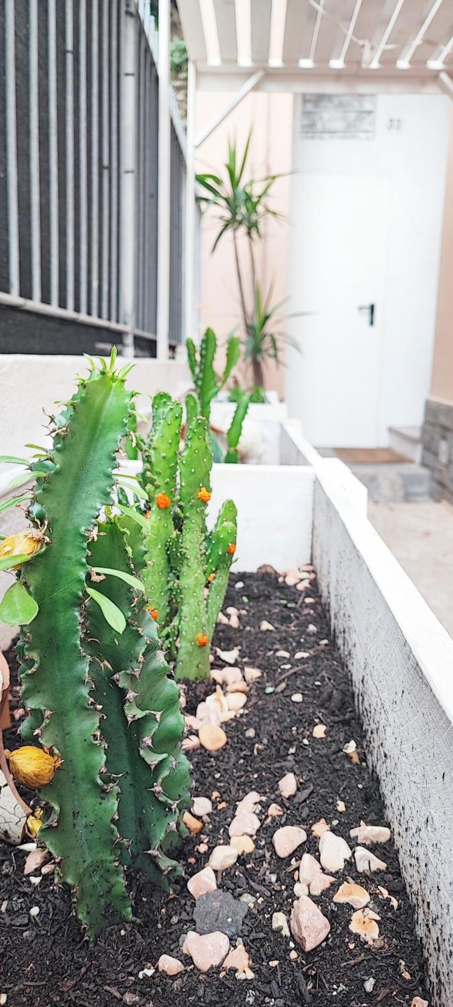 Ferienwohnung Residenza Bibliososta Ventimiglia Exterior foto